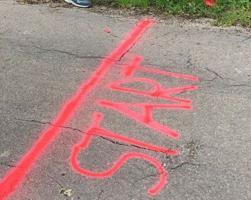 Anmeldung ab Mitte Februar