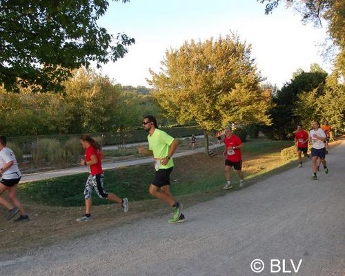 Welche Strecke wollt ihr laufen?